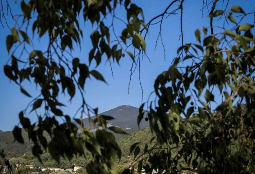 민박 Le 37 Malaucene