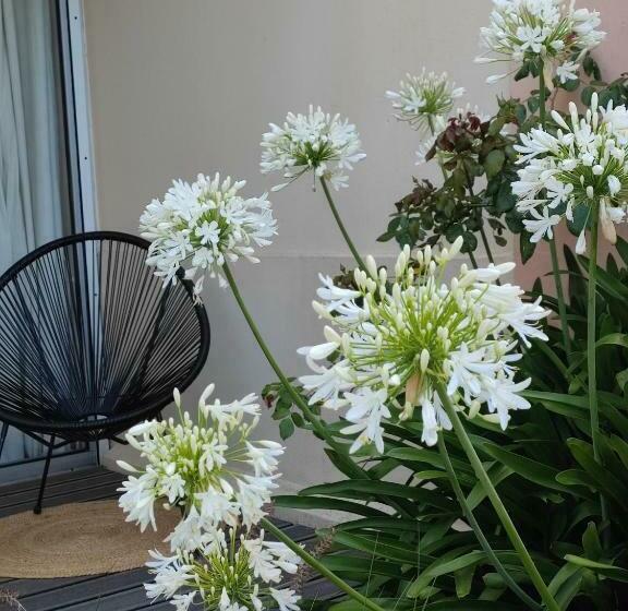 Le 3 Appartement Vue Mer Avec Jardin 100m De La Plage Et De La Thalasso