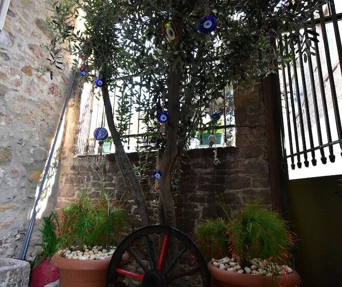 호텔 Olivia 1845 Guest House