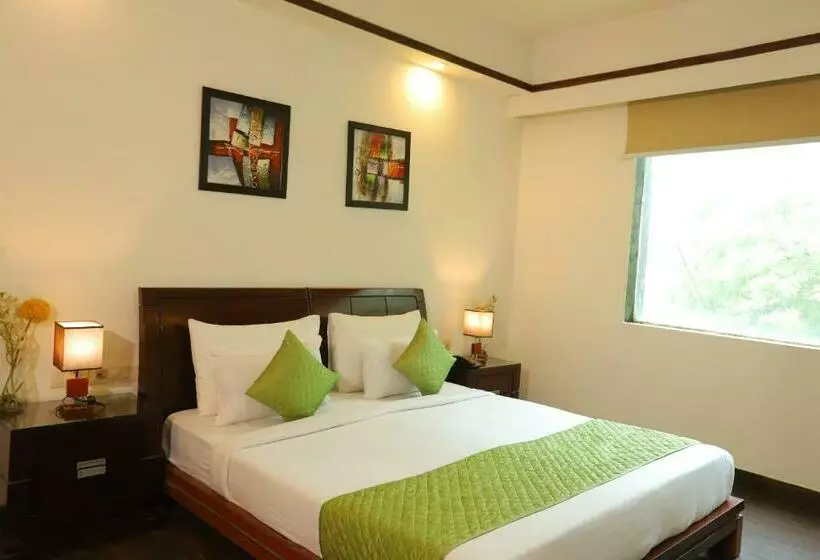 Picasso Residency Hotel In Naraina Vihar Delhi