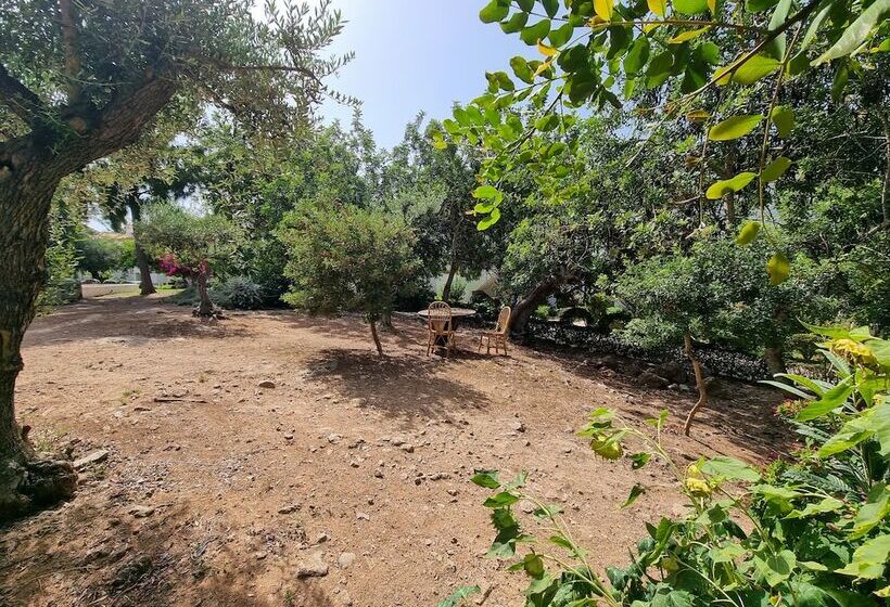 Inviting 2bedroom Apartment In The City Of Tavira