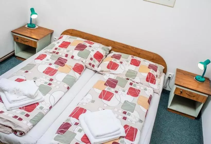 Majatalo Penzion U Dřevěného Ptáka