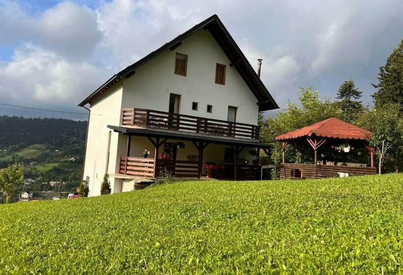 پانسیون Casa Viorica