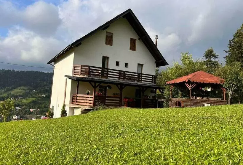 ペンション Casa Viorica