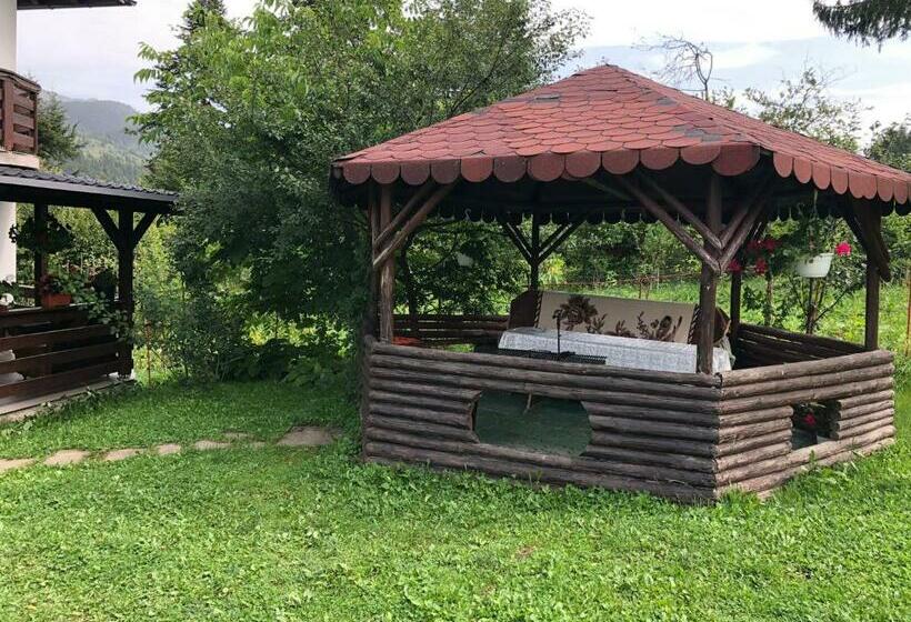 پانسیون Casa Viorica