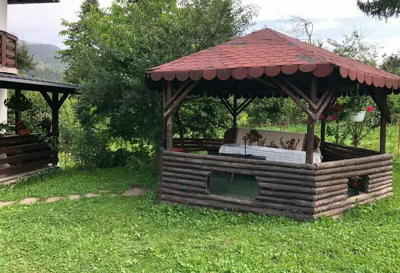 ペンション Casa Viorica