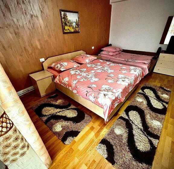 پانسیون Casa Viorica