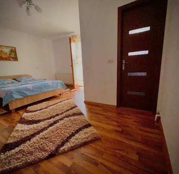 ペンション Casa Viorica