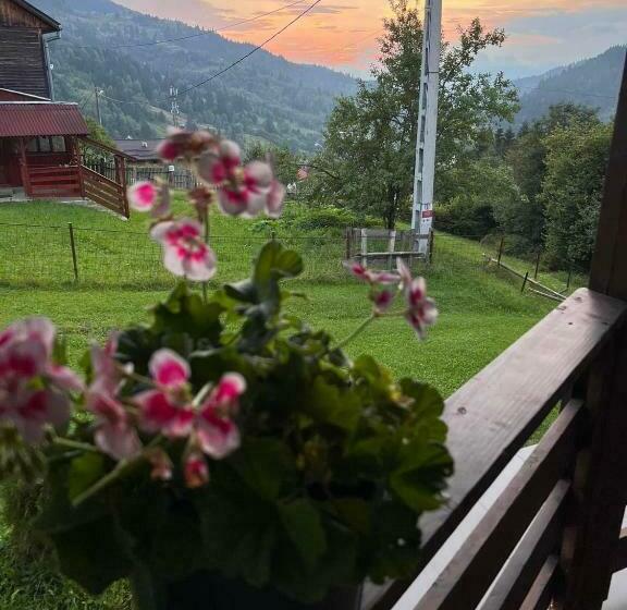 پانسیون Casa Viorica