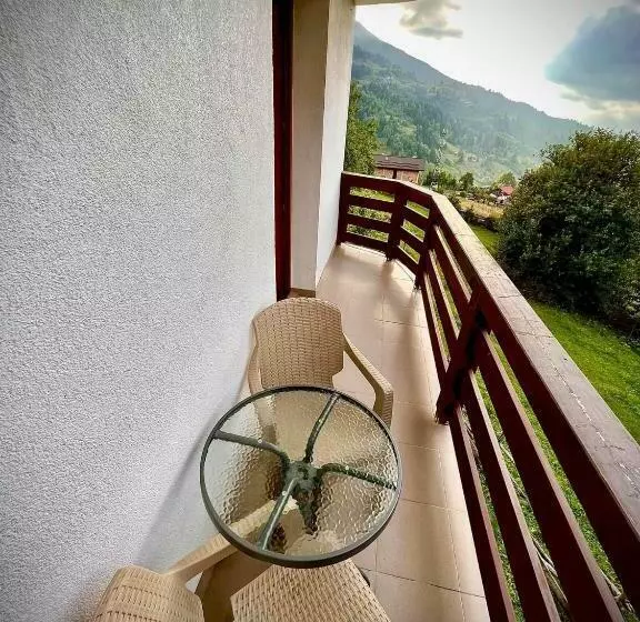 ペンション Casa Viorica