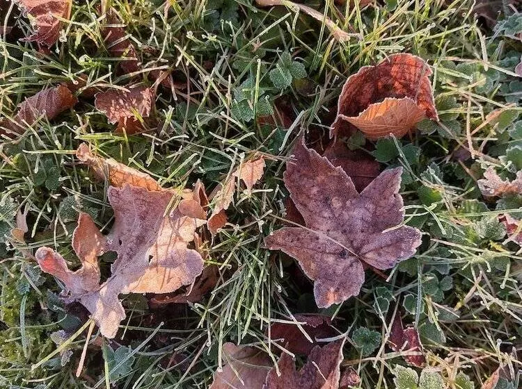 Majatalo Domaine Du Val Sauvage