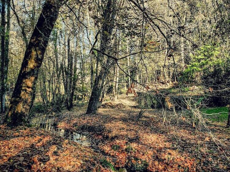 פנסיון Domaine Du Val Sauvage