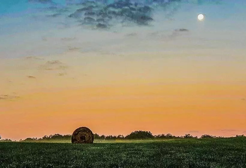 Majatalo Domaine Du Val Sauvage