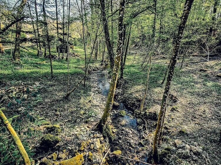 פנסיון Domaine Du Val Sauvage