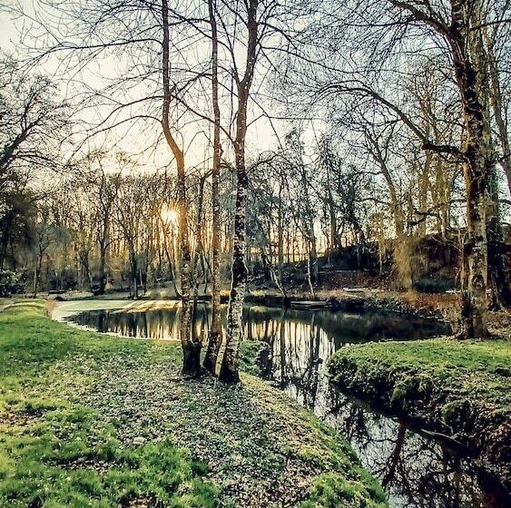 פנסיון Domaine Du Val Sauvage