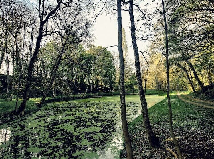 פנסיון Domaine Du Val Sauvage