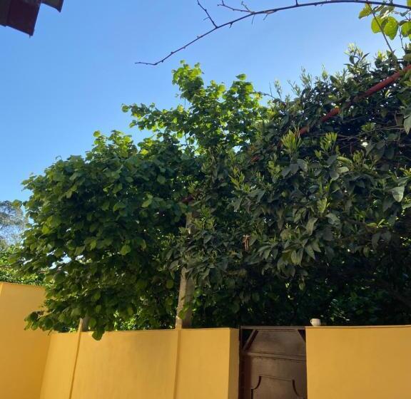 پانسیون Guest House   Green Space