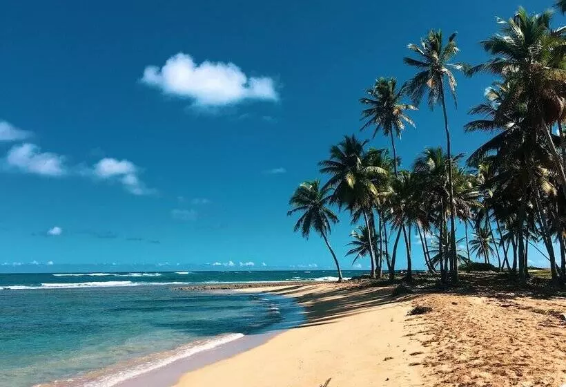 Srvittinivillas Aptla/p11 Great Apartment /work Travel / Couple /altos De Chavon