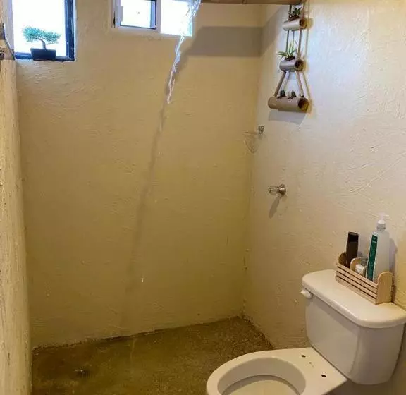 Retkeilymaja Alojamiento Bambuu