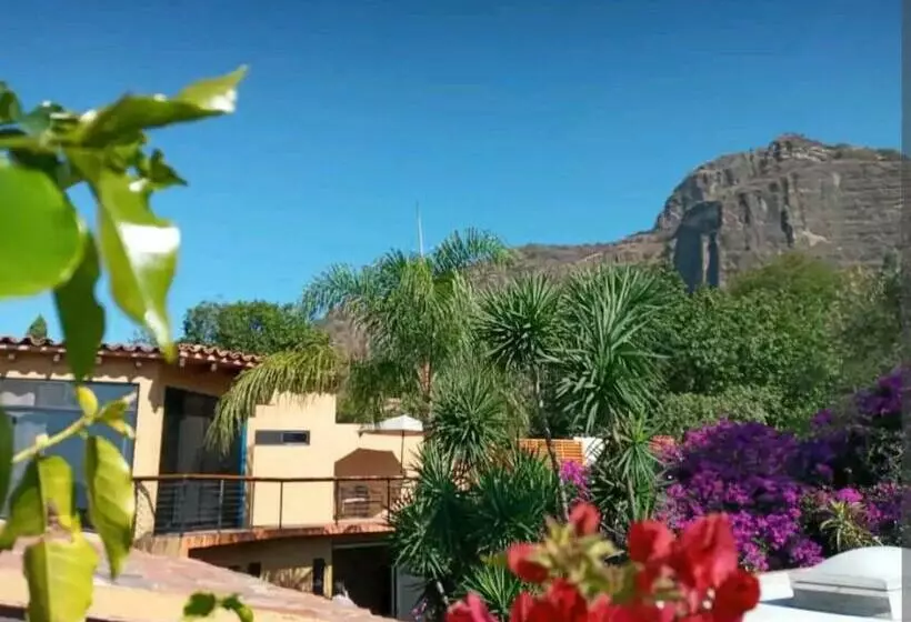 ペンション Acogedora Habitación Con Baño, Jardín. Muy Céntrica