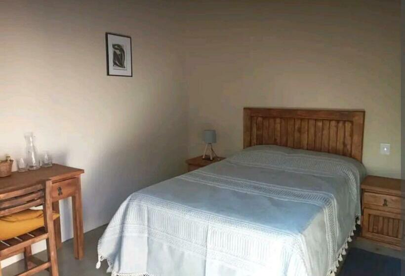 פנסיון Acogedora Habitación Con Baño, Jardín. Muy Céntrica