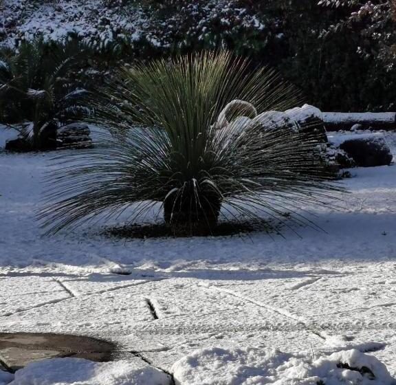 بنسيون Antico Palmento Dell Etna