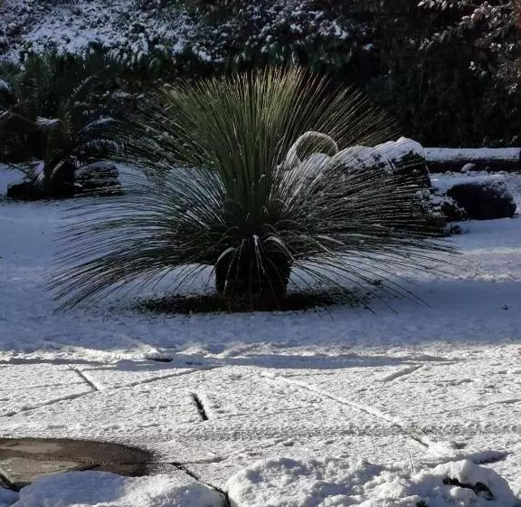Majatalo Antico Palmento Dell Etna