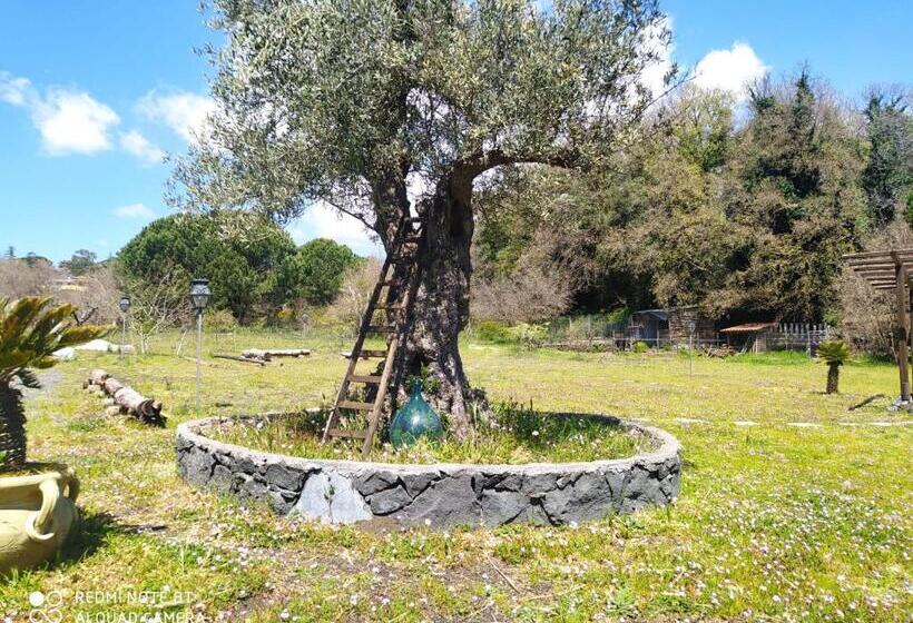 بنسيون Antico Palmento Dell Etna