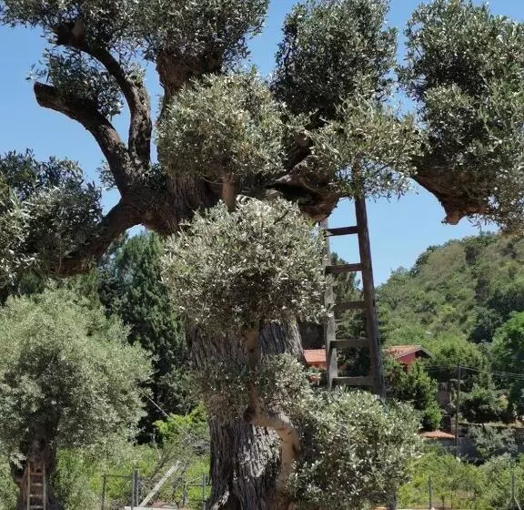 Majatalo Antico Palmento Dell Etna