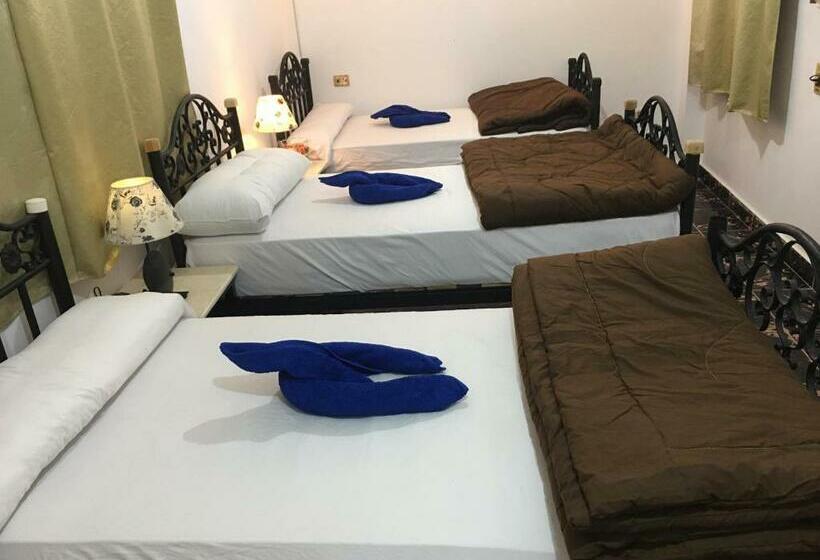 تختخواب و صبحانه Dahab Home Bed&breakfast