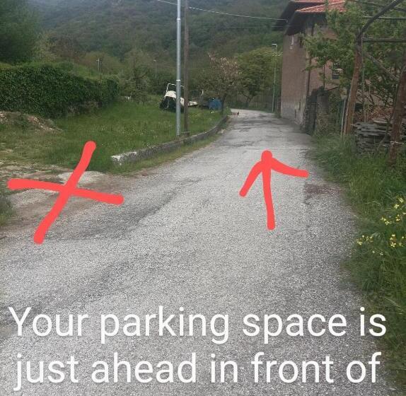 צימר Lotus Flower