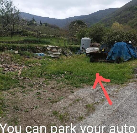 צימר Lotus Flower