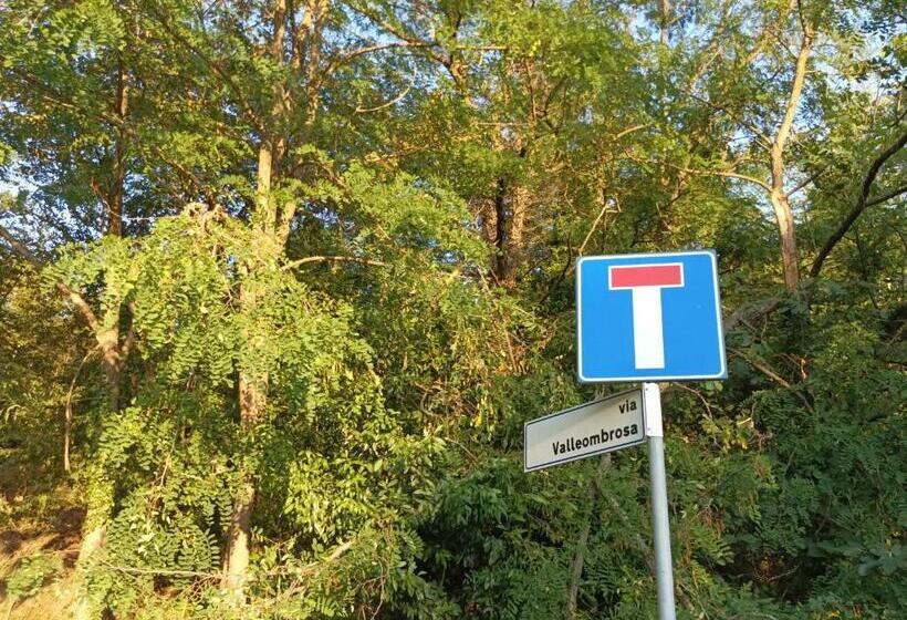 צימר Lotus Flower