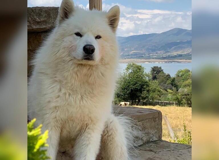Bed & Breakfast Cabaña Piedra&cielo