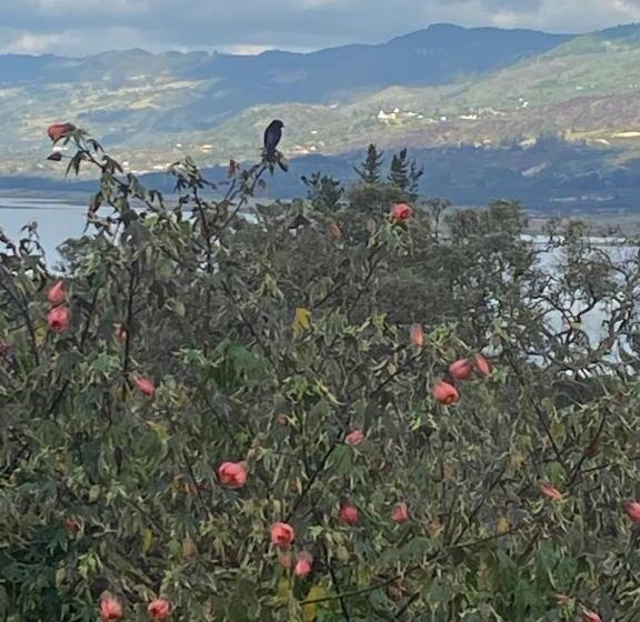 Bed & Breakfast Cabaña Piedra&cielo