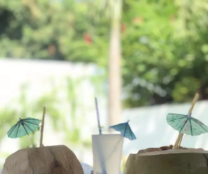 Hotelli Alfa Troncones Mexico