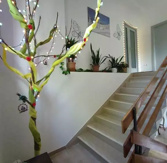 Majatalo Amoroso S House, Affittacamere