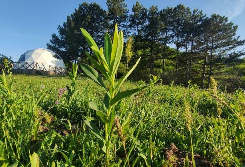 Pensão Aprelategh ապրելատեղ