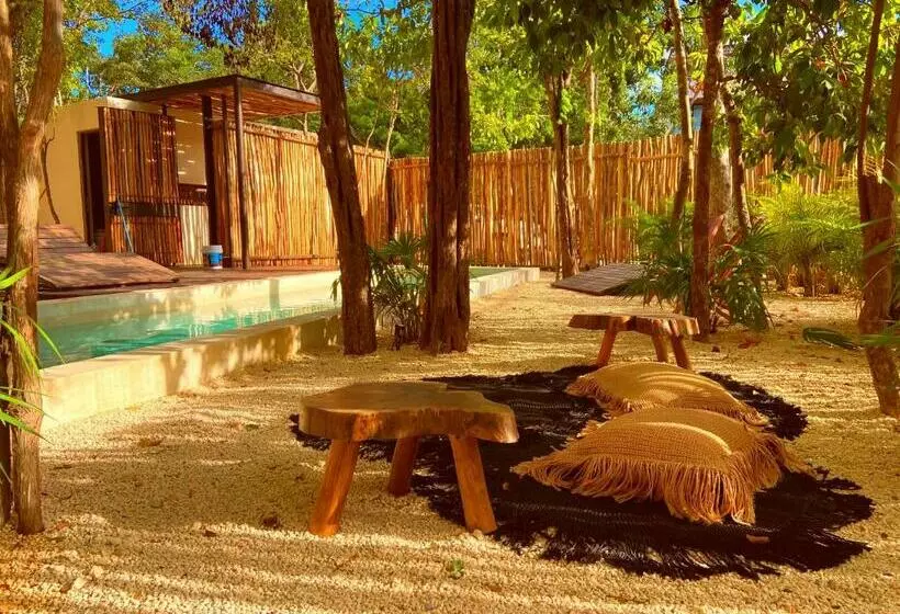 Villas Alakin   Luxury Zen Studio