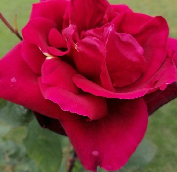 צימר L Orée Des Bois Chambre Lièrre