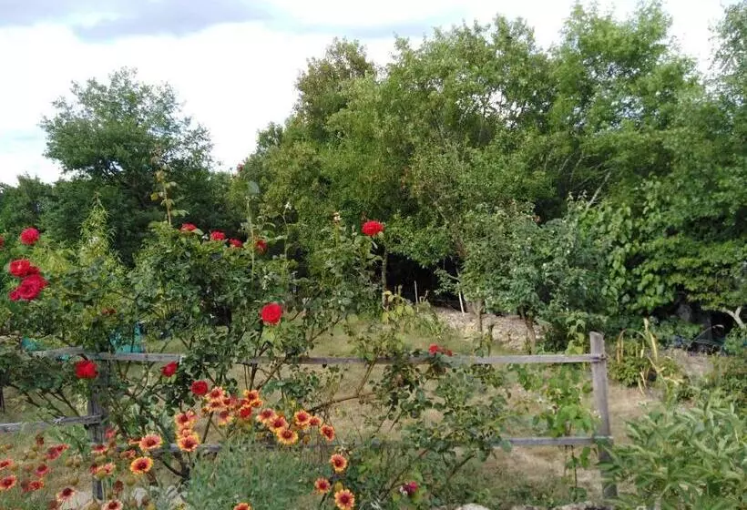 Aamiaismajoitus (B&B) La Grand Vigne