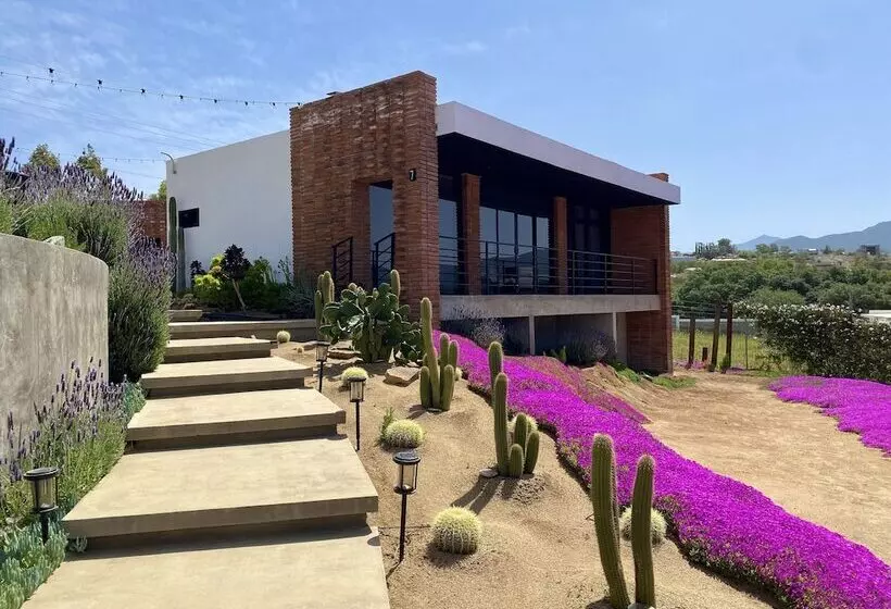 Hotelli Otero Valle De Guadalupe