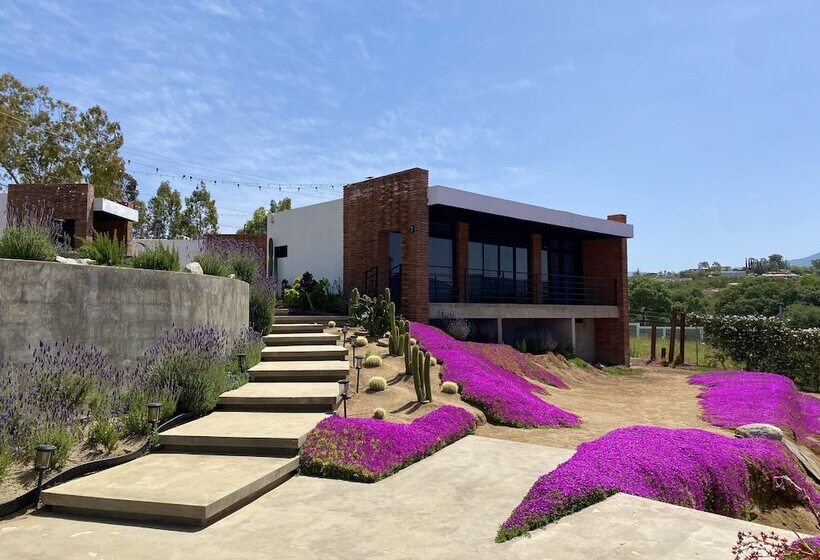 ホテル Otero Valle De Guadalupe