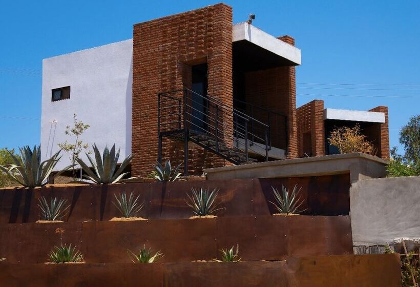 ホテル Otero Valle De Guadalupe