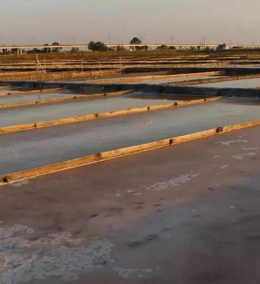 پانسیون Aveiro House