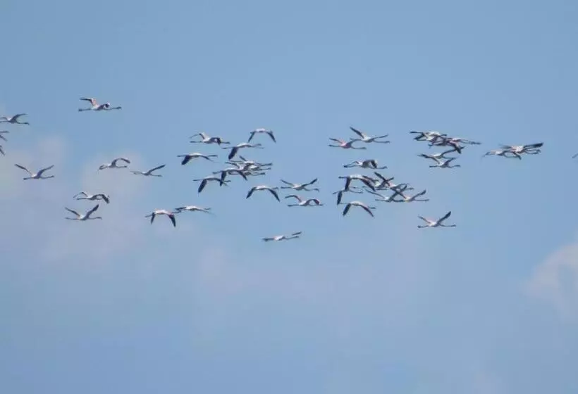 پانسیون Aveiro House