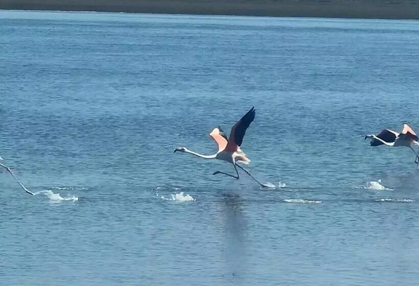 پانسیون Aveiro House