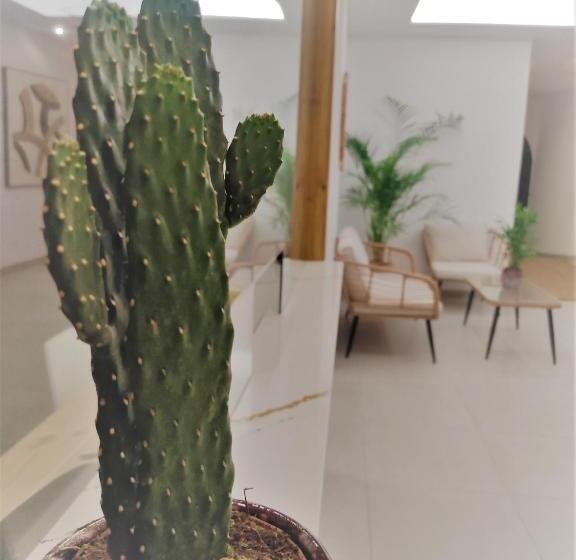 پانسیون H Arena Mojacar