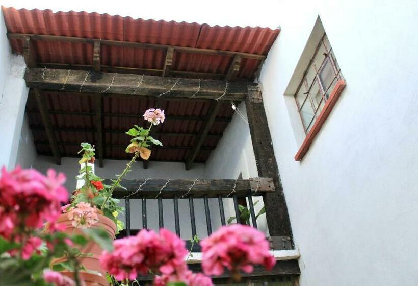 호텔 Casa Gardenia