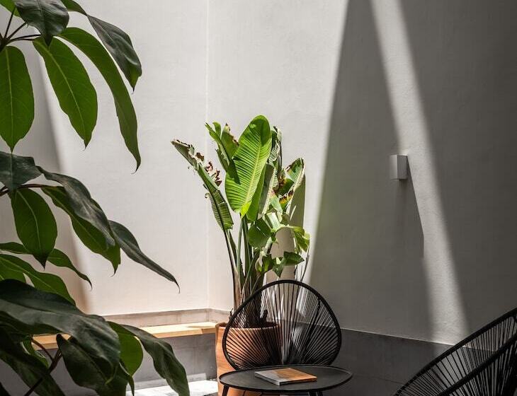 Hotel Bypillow La Sal